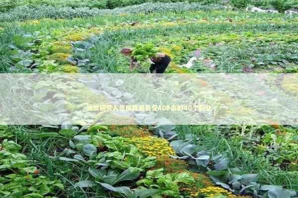 微软研究人员披露最易受AI冲击的40个职业