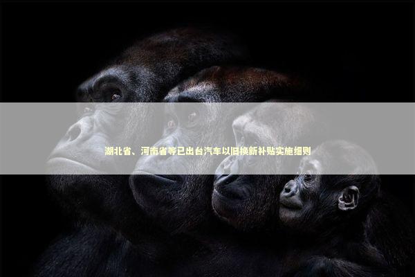 湖北省、河南省等已出台汽车以旧换新补贴实施细则