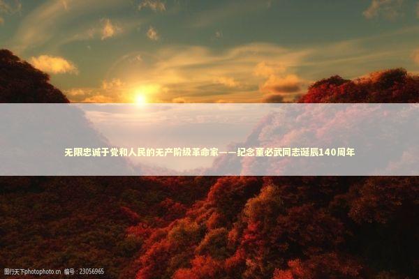 无限忠诚于党和人民的无产阶级革命家——纪念董必武同志诞辰140周年