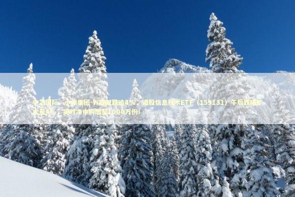 中芯国际、小米集团-W双双跌逾4%，港股信息技术ETF（159131）午后跌幅扩大至4%，实时净申购增至1000万份！