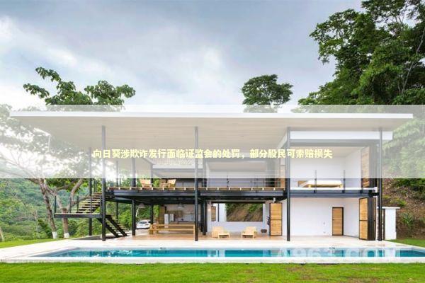 向日葵涉欺诈发行面临证监会的处罚，部分股民可索赔损失