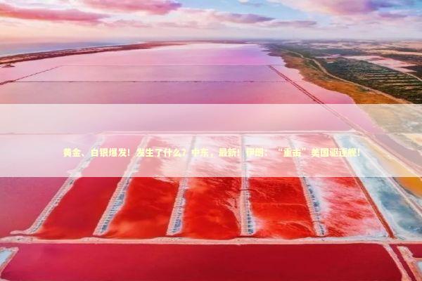 黄金、白银爆发！发生了什么？中东，最新！伊朗：“重击”美国驱逐舰！