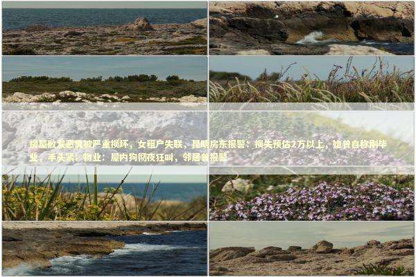 房屋散发恶臭被严重损坏，女租户失联，昆明房东报警：损失预估2万以上，她曾自称刚毕业，手头紧；物业：屋内狗彻夜狂叫，邻居曾报警