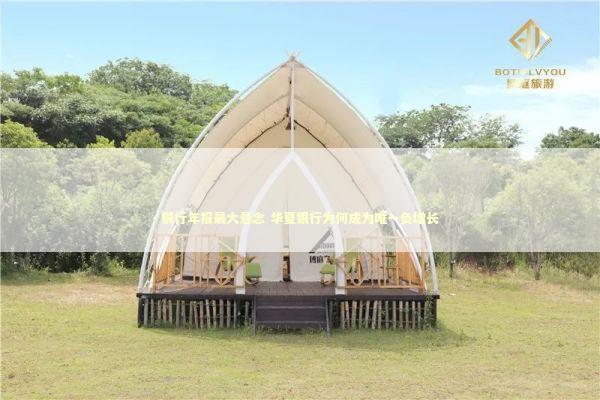 银行年报最大悬念 华夏银行为何成为唯一负增长