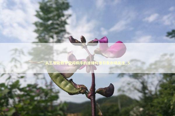 人工智能数字空间秩序的法律构建引发市场关注_5