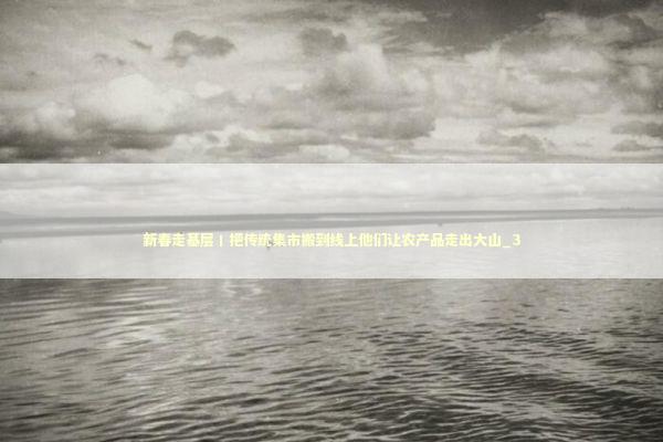 新春走基层丨把传统集市搬到线上他们让农产品走出大山_3