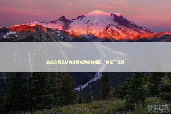 高盛交易员认为美股反弹前将经历“痛苦”之路