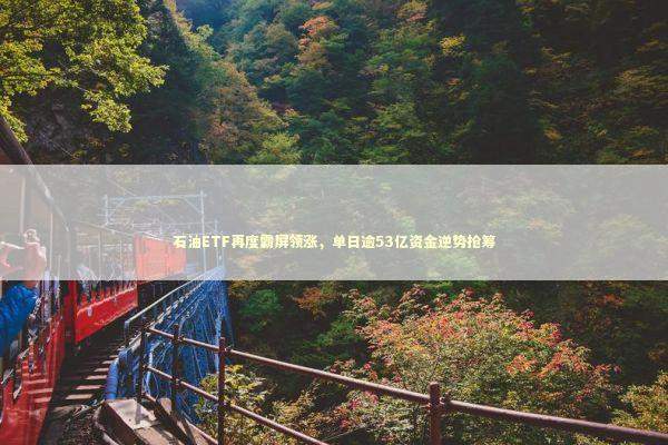 石油ETF再度霸屏领涨，单日逾53亿资金逆势抢筹