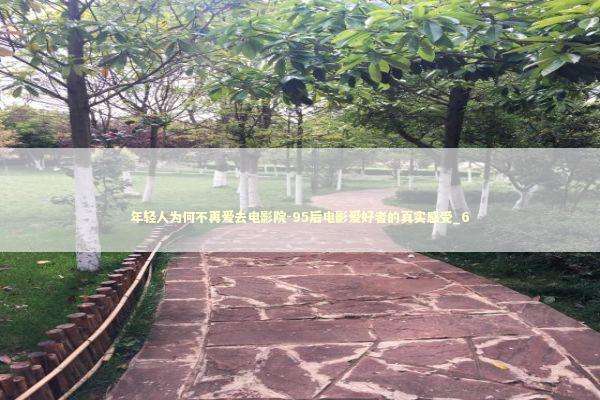 年轻人为何不再爱去电影院-95后电影爱好者的真实感受_6