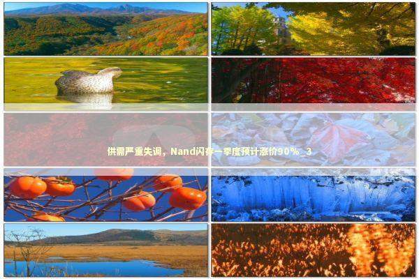 供需严重失调，Nand闪存一季度预计涨价90%_3