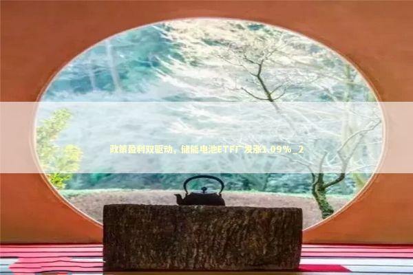 政策盈利双驱动，储能电池ETF广发涨1.09%_2