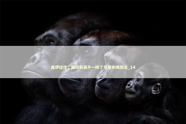 美伊这仗，跟以前真不一样了引发市场关注_14