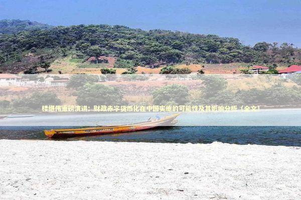 楼继伟重磅演讲：财政赤字货币化在中国实施的可能性及其影响分析（全文）