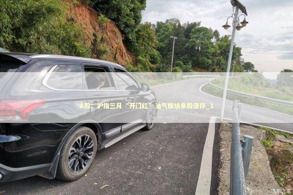 A股：沪指三月“开门红”油气板块多股涨停_1