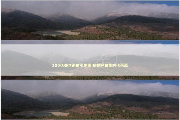 200亿央企退市引地震 房地产黄金时代落幕