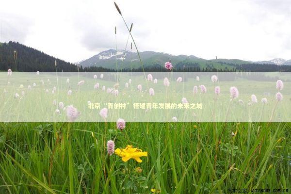 北京“青创村”搭建青年发展的未来之城