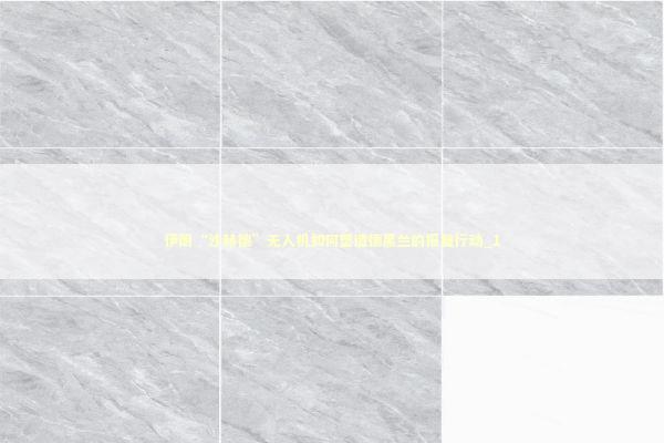 伊朗“沙赫德”无人机如何塑造德黑兰的报复行动_1