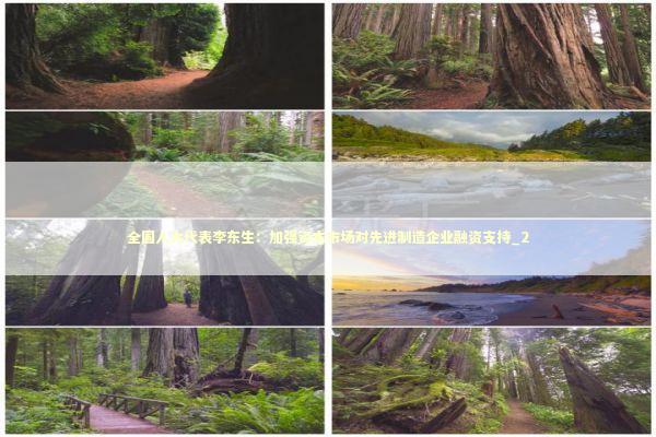 全国人大代表李东生：加强资本市场对先进制造企业融资支持_2