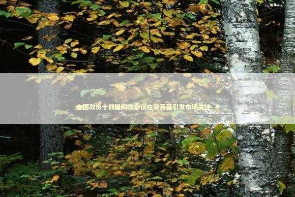 全国政协十四届四次会议在京开幕引发市场关注_4