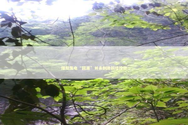 煤炭发电“回潮”并未刺激新增投资