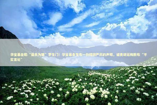 华宝基金陷“逼良为娼”罗生门！华宝基金发布一份措辞严厉的声明，谴责胡延梅散布“不实言论”