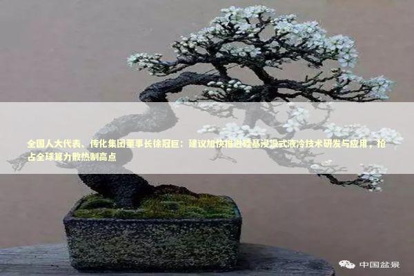 全国人大代表、传化集团董事长徐冠巨：建议加快推进硅基浸没式液冷技术研发与应用，抢占全球算力散热制高点