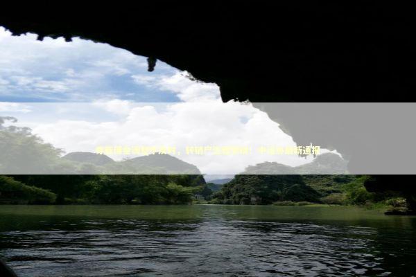 券商佣金调整不及时，转销户流程繁琐！中证协最新通报