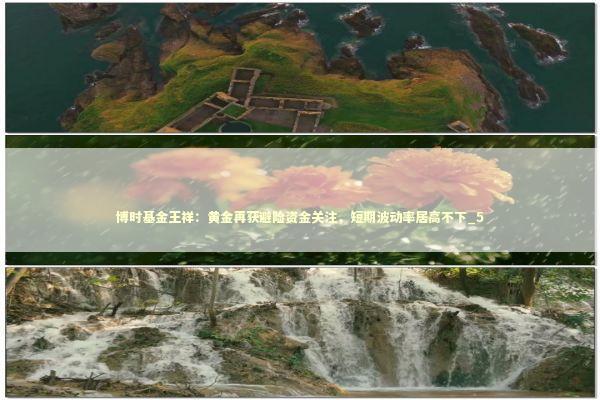 博时基金王祥：黄金再获避险资金关注，短期波动率居高不下_5