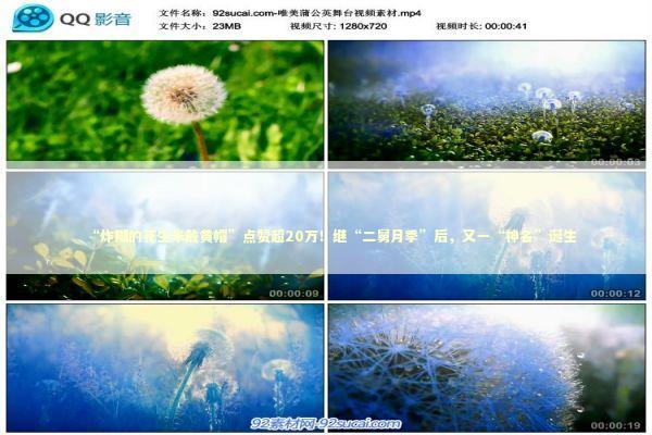 “炸糊的花生米戴黄帽”点赞超20万！继“二舅月季”后，又一“神名”诞生