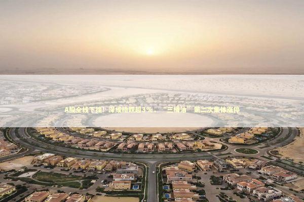 A股全线下挫！深成指跌超3%，“三桶油”第二次集体涨停