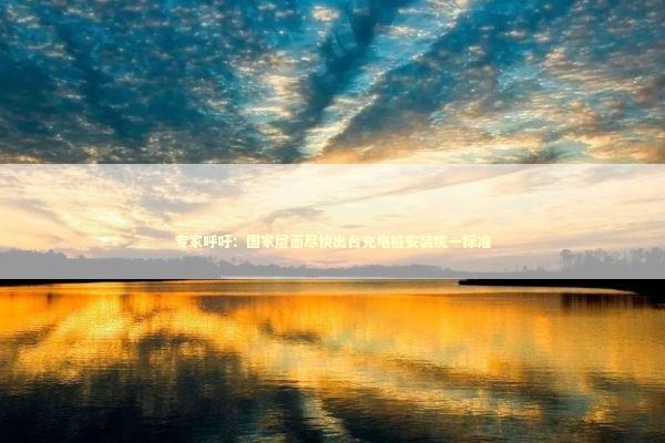 专家呼吁：国家层面尽快出台充电桩安装统一标准