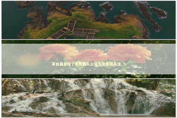 茅台基金投了家机器人公司引发市场关注_5