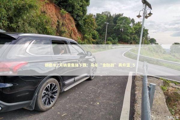 新造车2月销量集体下跌：马年“金融战”再升温_5