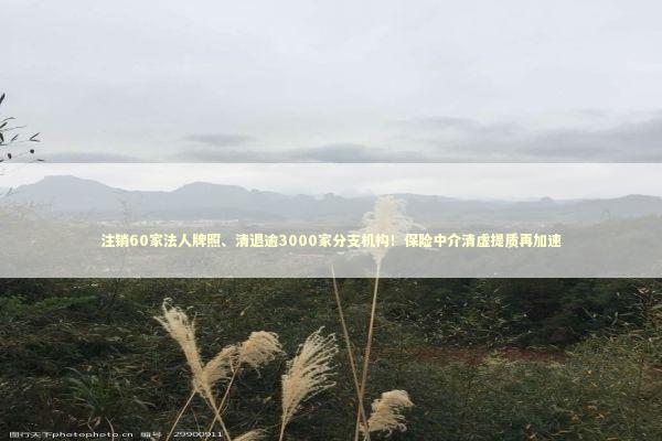 注销60家法人牌照、清退逾3000家分支机构！保险中介清虚提质再加速 新闻