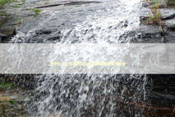 曹中铭：上市公司实控人频现违规须保持警惕