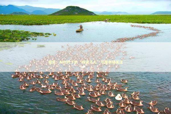 程实：AI时代下的“投资于人”引发市场关注