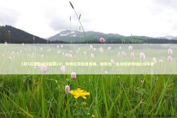 3月5日美股成交额前20：特斯拉获美银青睐，被称为“自动驾驶领域的领导者”