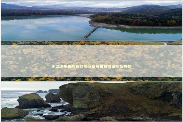 近年浏览器应用趋势洞察与日常效率挖掘机会