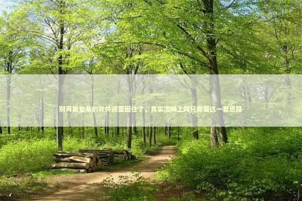 别再被复杂的软件设置困住了，其实流畅上网只需要这一套思路 IT技术