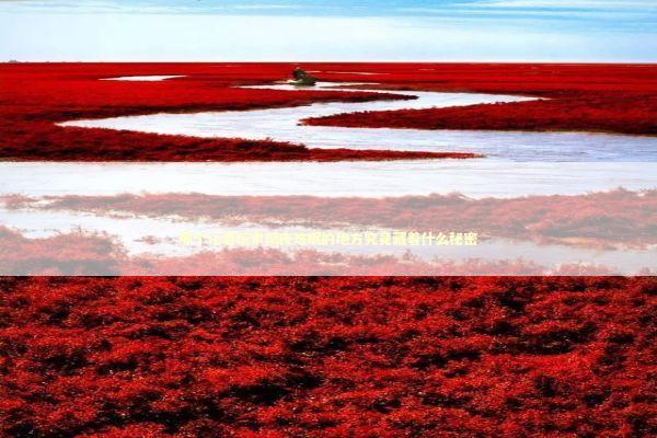 那个让老玩家彻夜难眠的地方究竟藏着什么秘密