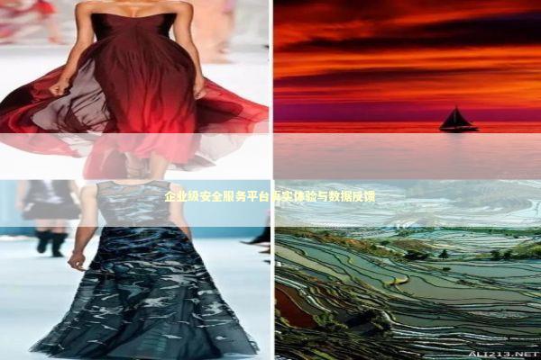 企业级安全服务平台真实体验与数据反馈 IT技术