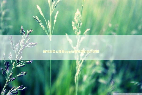解锁消费心理看ugg价格背后的定价逻辑