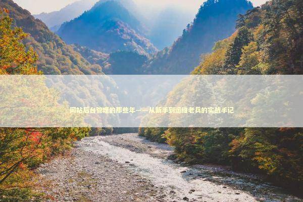 网站后台管理的那些年——从新手到运维老兵的实战手记 IT技术