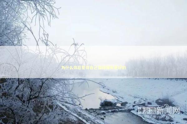 为什么你总觉得自己值得拥有更好的 情感心理