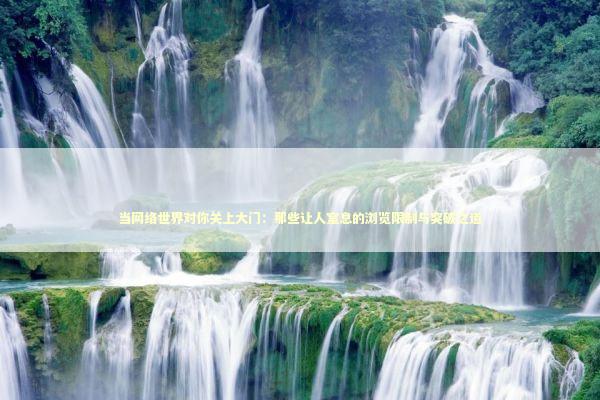 当网络世界对你关上大门：那些让人窒息的浏览限制与突破之道 IT技术