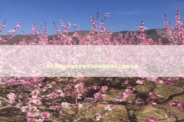 老买家从不争抢首页推荐这款背后逻辑令人恍然大悟